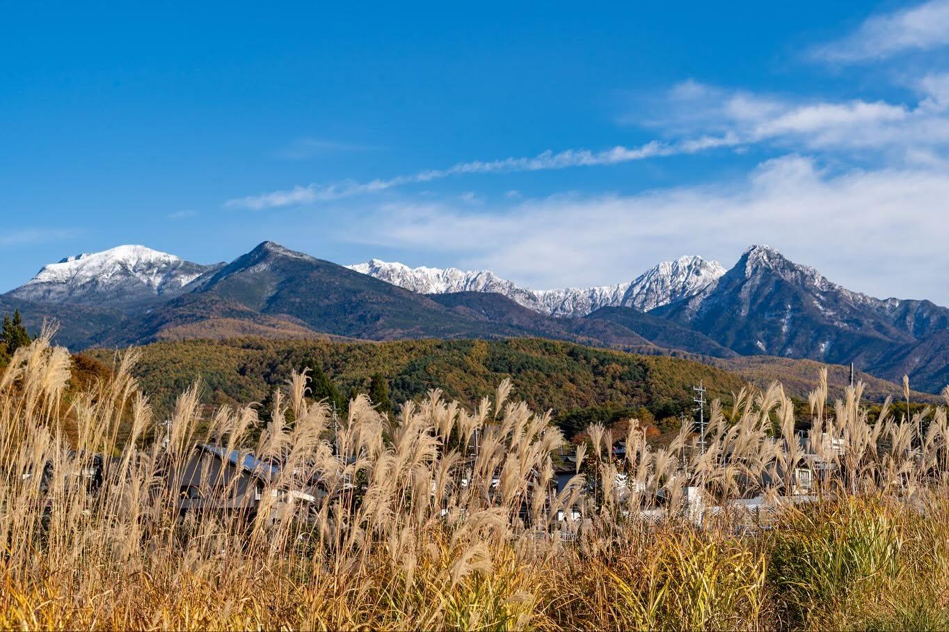 山並みを望む高原の風景。