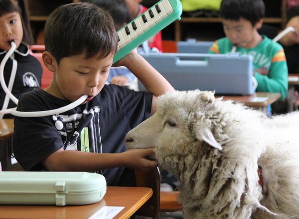 動物と過ごす教室の様子